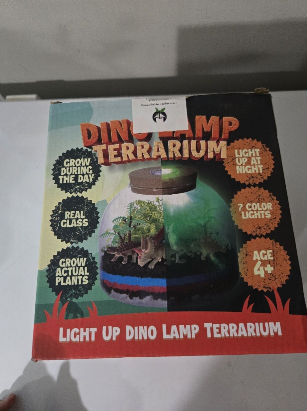 Nib Dino Lamp terrarium